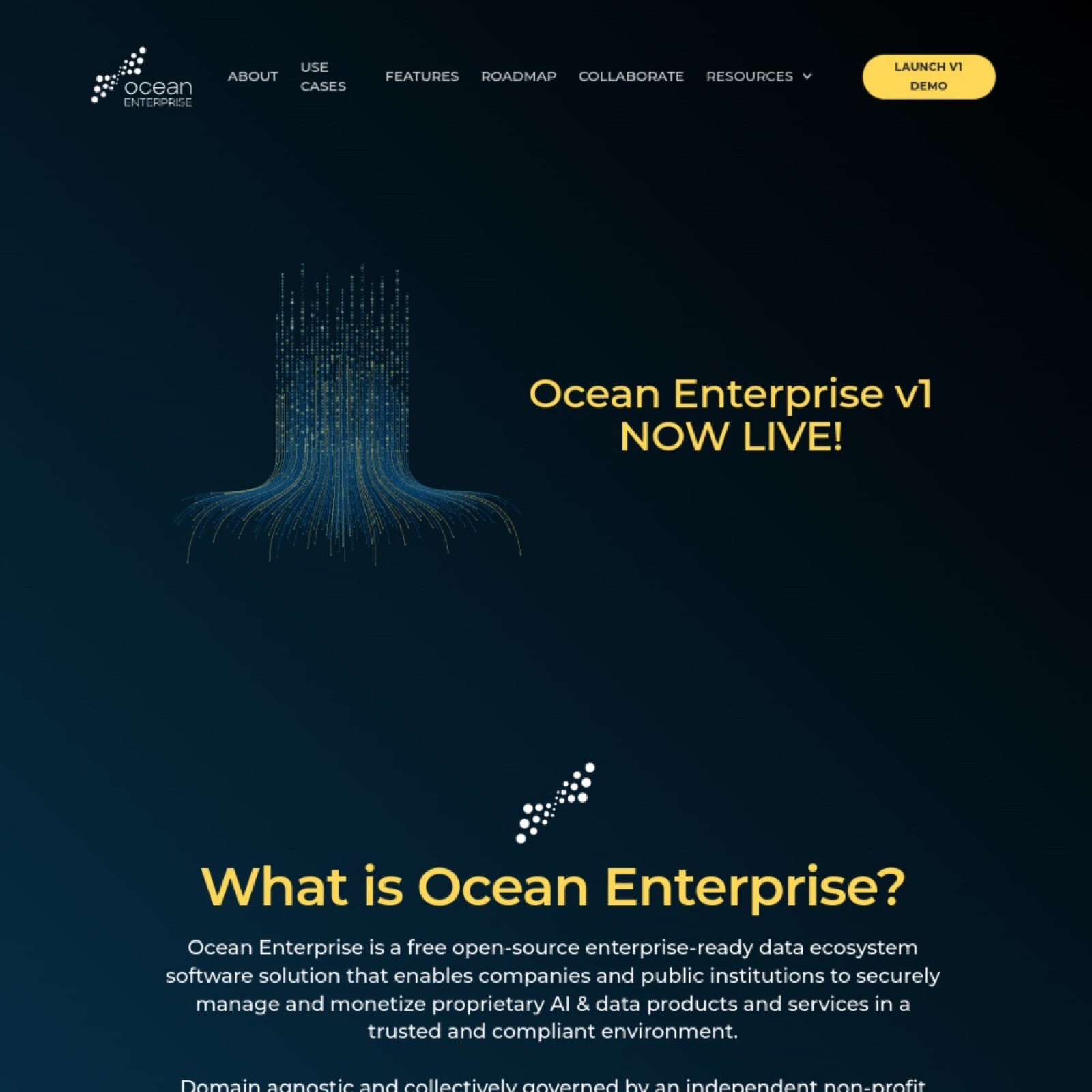 Ocean Enterprise website printscreen